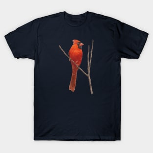 The Cardinal Rule T-Shirt